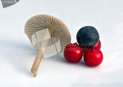 Image of Mushroom, Cranberries and Blue berry