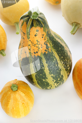 Image of a few decorative pumpkin on a light background