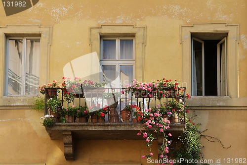 Image of Balcony with flowers