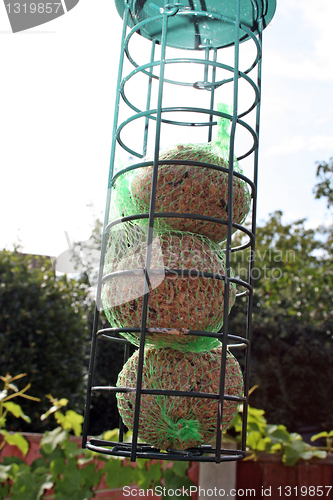 Image of bird feeder 