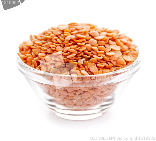 Image of Bowl of uncooked red lentils