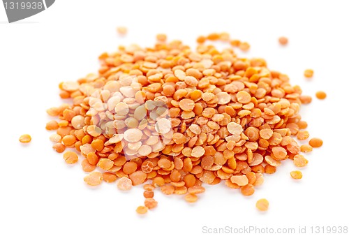 Image of Pile of uncooked red lentils