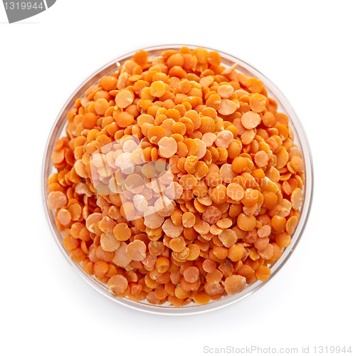 Image of Red lentils in a bowl from above