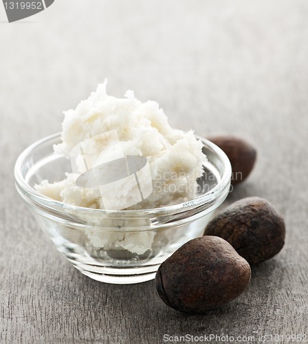 Image of Shea butter and nuts in bowl