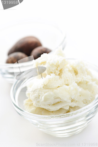 Image of Shea butter and nuts in bowls