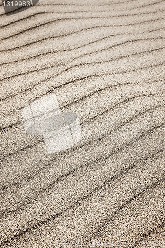 Image of Sand ripples background