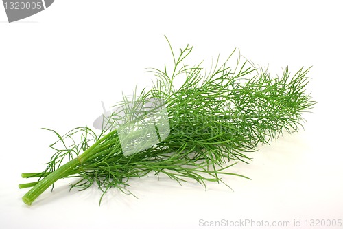 Image of Dill