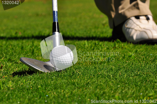 Image of Golfer in a golf course