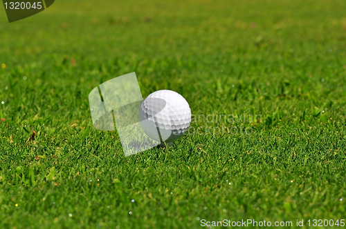 Image of Golf Ball