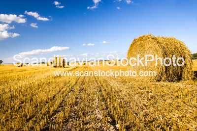 Image of Straw stack