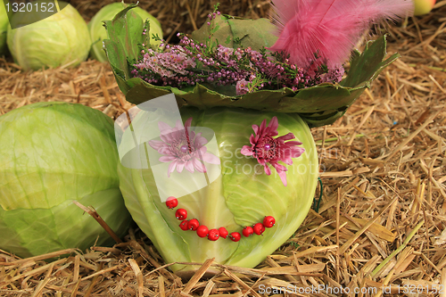 Image of Happy cabbage head.