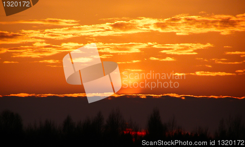 Image of asleep summer nature