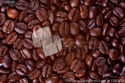 Image of Coffee Beans