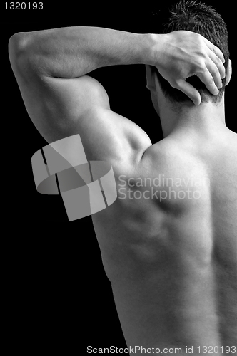 Image of Shoulder Pain