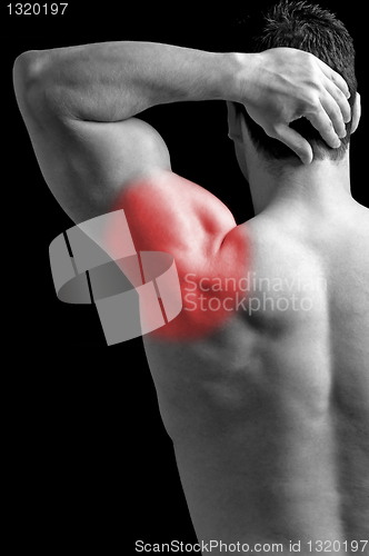 Image of Shoulder Pain