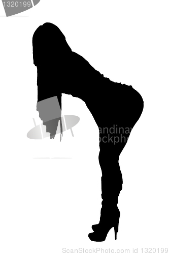 Image of Silhouette of a Sexy Female Model