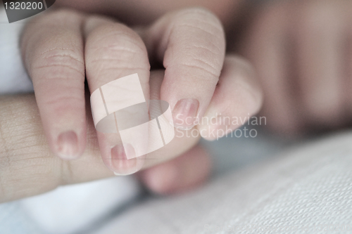 Image of Baby hands