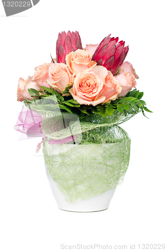 Image of Orange rose flowers