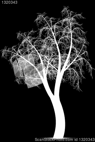 Image of Winter tree