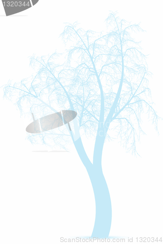 Image of Winter tree