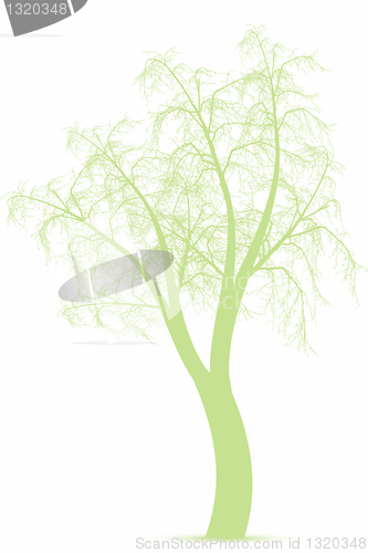 Image of Spring tree