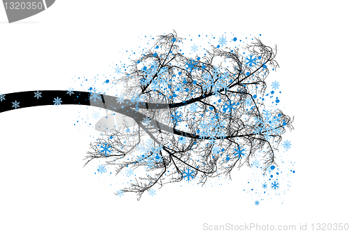Image of Winter tree