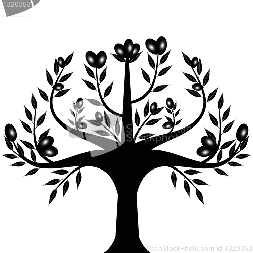 Image of Olive tree
