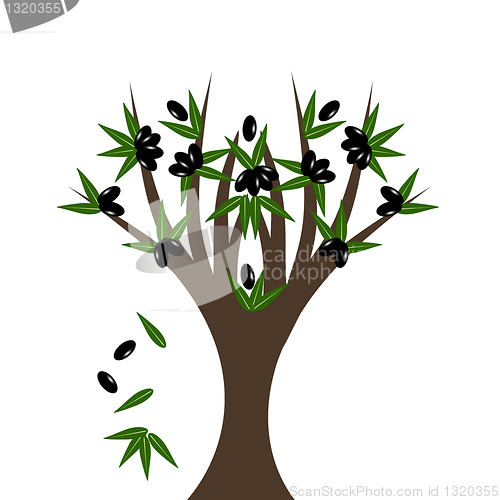 Image of Olive tree