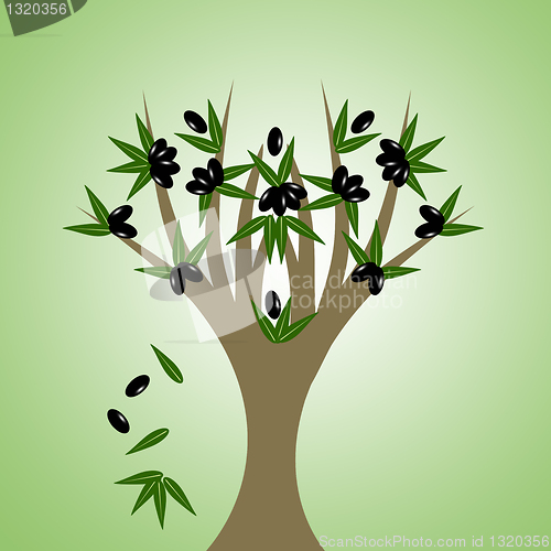 Image of Olive tree