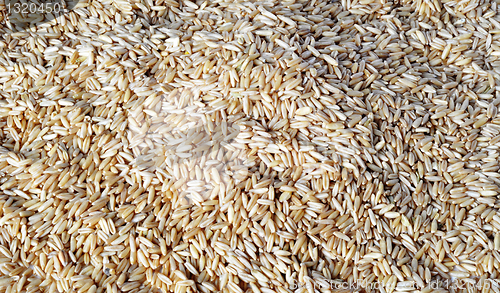 Image of Wheat grains