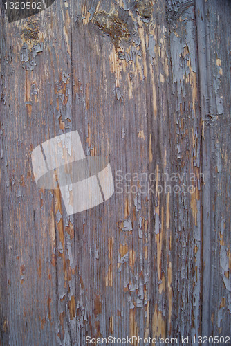 Image of Wood texture