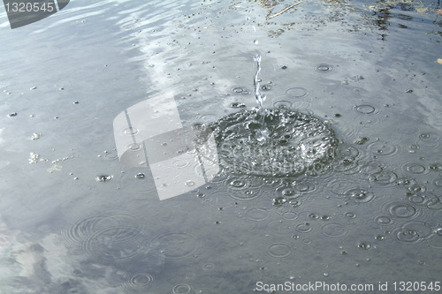 Image of splash