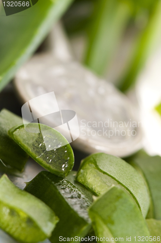 Image of aloe vera juice with fresh leaves