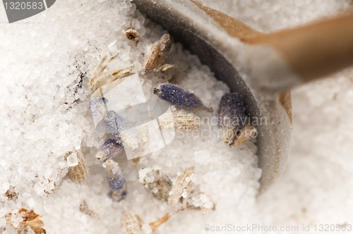 Image of Lavender Sugar