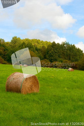 Image of Harvested Meadow