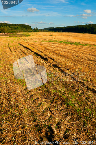 Image of Harvested Agricultural Field