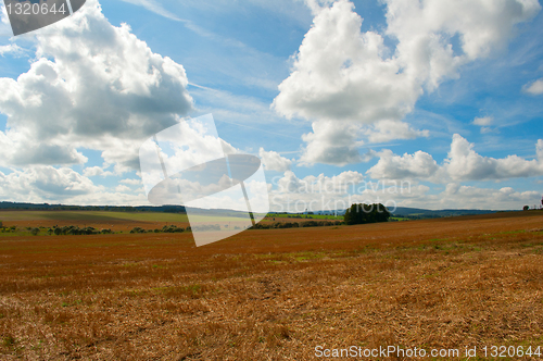 Image of Harvested Agricultural Field