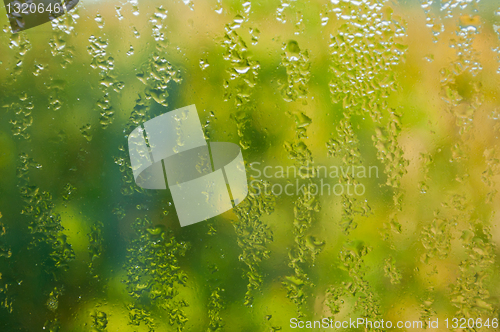 Image of Rain on Window