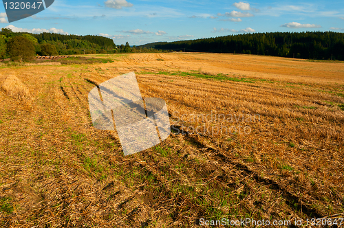 Image of Harvested Agricultural Field