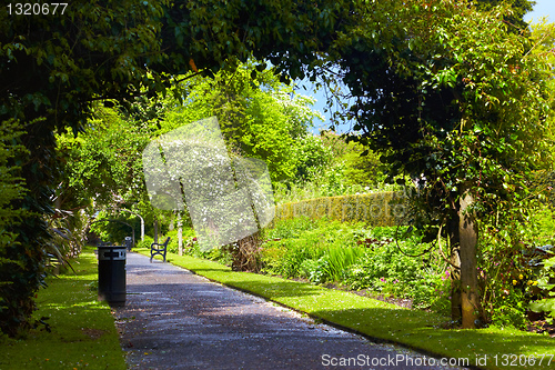 Image of Belfast Botanic Gardens
