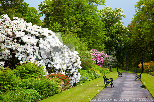 Image of Belfast Botanic Gardens