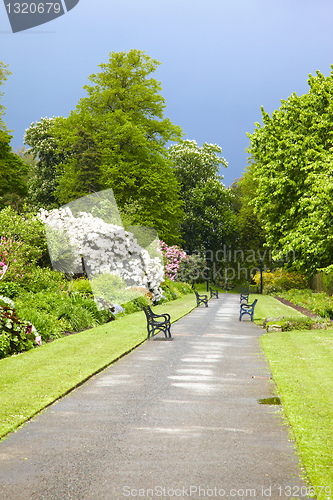 Image of Belfast Botanic Gardens