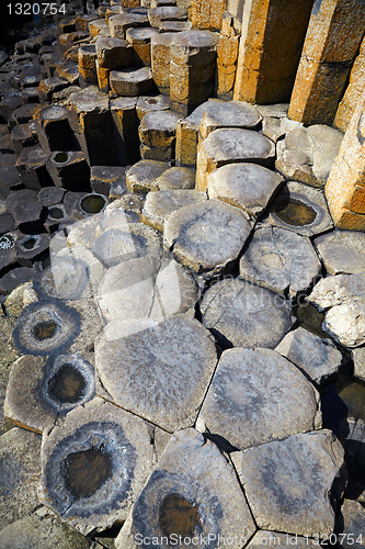 Image of Giantâ€™s Causeway