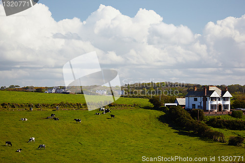 Image of Irish farm