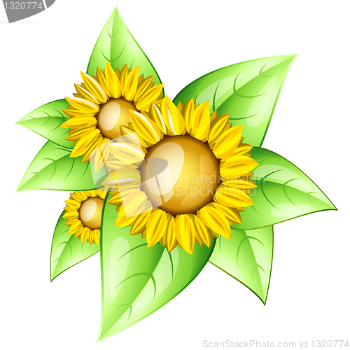 Image of Sunflowers