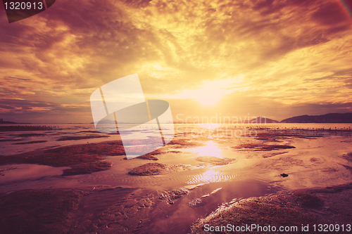 Image of Tropical sunset on the beach.