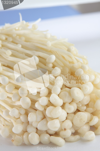 Image of white mushroom