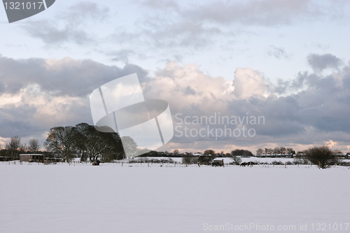 Image of Snow scene