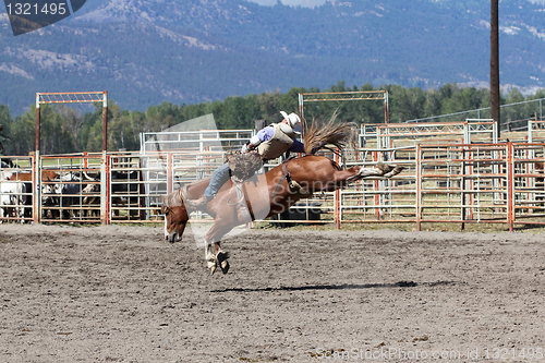 Image of 52nd Annual Pro Rodeo