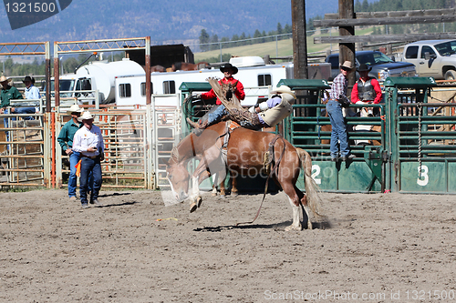 Image of 52nd Annual Pro Rodeo